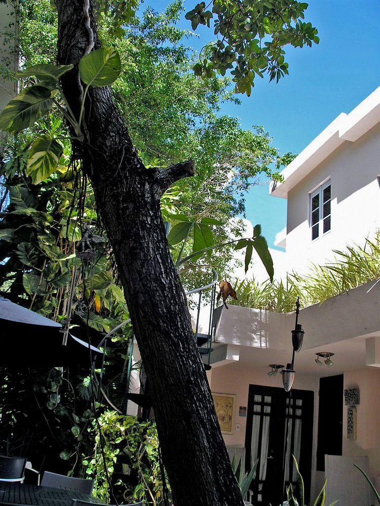 Oceana Hostal Playero San Juan Luaran gambar
